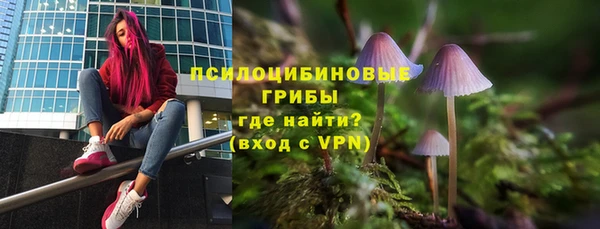 ешки Переславль-Залесский