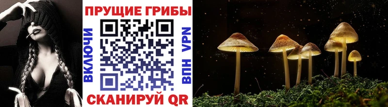 Галлюциногенные грибы Magic Shrooms  что такое   Асбест 