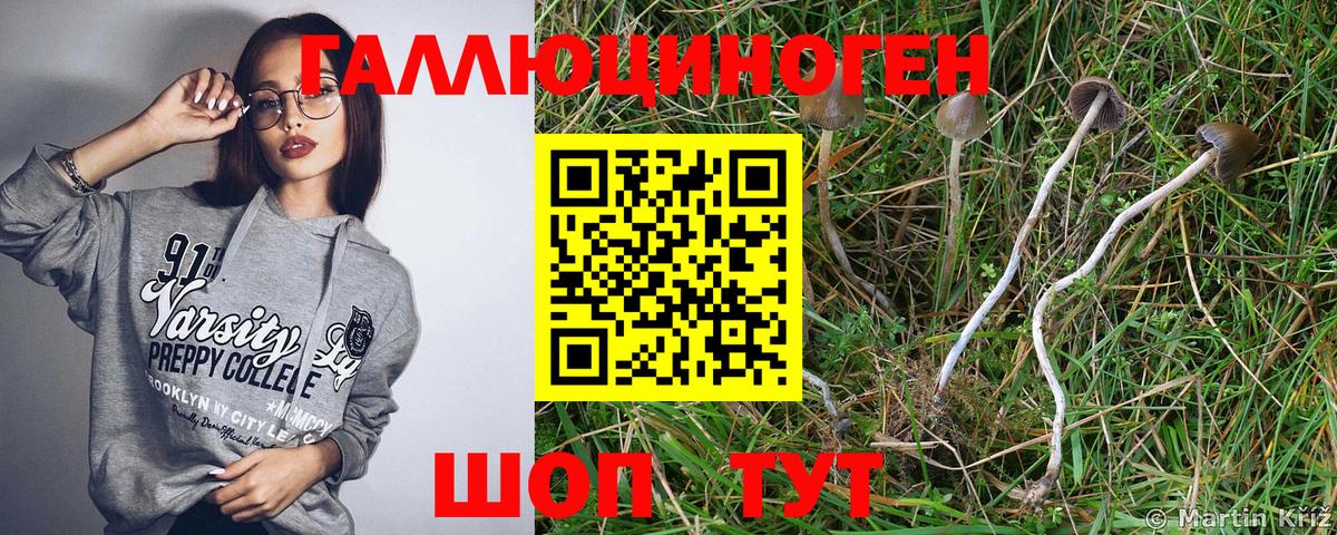 как найти наркотики  Псилоцибиновые грибы Magic Shrooms  Вход с VPN  Асбест 