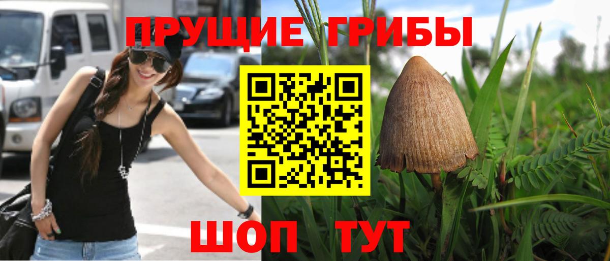 Псилоцибиновые грибы ЛСД Асбест